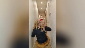 Конкурс CAT-Defile. Алис-Бриллиант