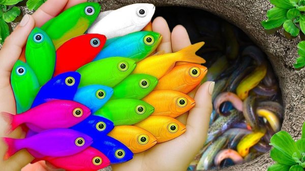 МУЛЬТИКИ ДЛЯ ДЕТЕЙ: СПАСАЕМ КРАСИВЫХ РЫБОК ЧЕРЕПАХ И ГУППИ В ПРУДУ СИНИЙ ТРАКТОР