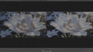 HDR vs SDR When Fairies Bloom  Spring Fairy Village Life  AI Fantasy Art 4K