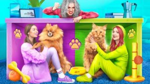 СТРОИМ СЕКРЕТНЫЕ ДОМИКИ ДЛЯ ЖИВОТНЫХ. ВЕСЕЛОЕ ВИДЕО ДЛЯ ДЕТЕЙ