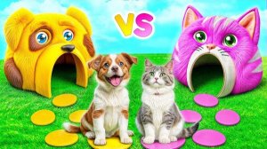 ВЕСЕЛЫЙ ЧЕЛЛЕНДЖ ПРО ЖИВОТНЫХ. СТРОИМ ДОМИКИ