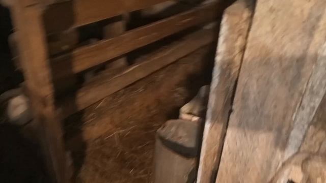 Две недели без коз.