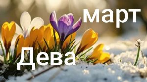 Таро расклад для Дев на март 2026 года