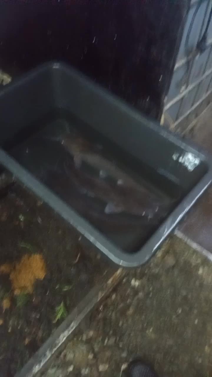 Всем доброй ночи. Все я вроде выздоровел!!! Оказывается надо было просто начать работать!!!