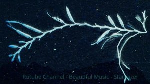 Rutube Channel - Beautiful Music - Stargazer