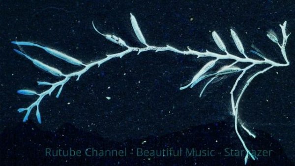 Rutube Channel - Beautiful Music - Stargazer