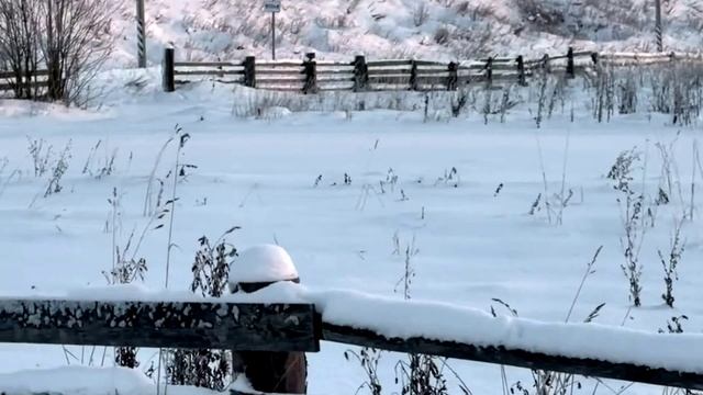 Футаж ДЕРЕВНЯ № 503