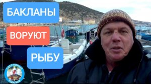 Кефаль 40 см с лодки! Черное море, Балаклава, Лиманский червь. Бакланы воруют рыбу… но кефаль клюёт!
