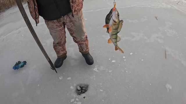 3429.mp4 смотреть онлайн