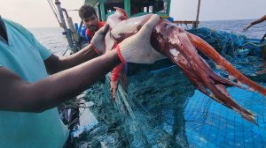 Мы съели гигантского кальмара вместо каши / Странная рыба, пойманная в сеть / Рыбалка |