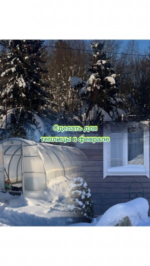 В феврале еду в теплицу 06.02.2026 #теплица #дача #garden