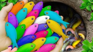 МУЛЬТИКИ ДЛЯ ДЕТЕЙ: ЛОВИМ ГУППИ РЫБ-ПОПУГАЕВ И ЧЕРЕПАХ В ПРУДУ СИНИЙ ТРАКТОР