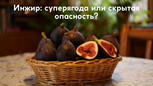 Инжир: суперягода или скрытая опасность? Вся правда о пользе и вреде