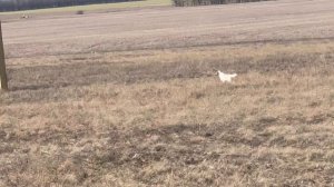 Федора. 16.02.26.