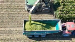 КРОН БОЛЬШОЙ в Работе 📸