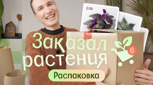 Что приехало? Купил растения онлайн… Распаковка и обзор