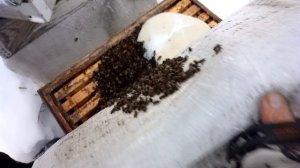 На новом облётнике