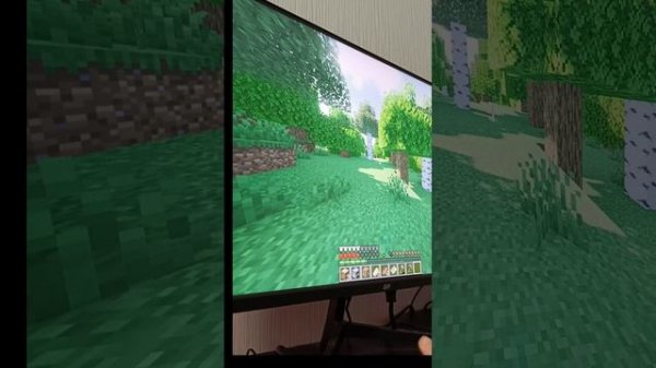 Born in chaos| ashen ward