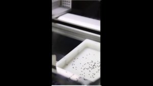 Машина для упаковки электронных компонентов из россыпи в ленту  HESS TPM 0228