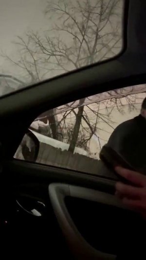 Опасная схема с «избитыми» попутчиками, которые пытаются развести водителей, появилась в Подмосковье