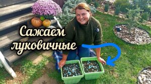 Распаковка посылки с луковичными. Посадка первоцветов в кашпо. Рабочий влог #4