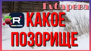 Наталья Губарева _Какое позорище _Обзор _Губарева _Алиса Неземная _Одна в деревне _Деревенский