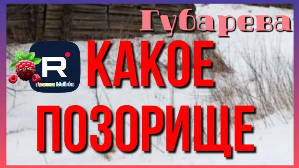 Наталья Губарева _Какое позорище _Обзор _Губарева _Алиса Неземная _Одна в деревне _Деревенский
