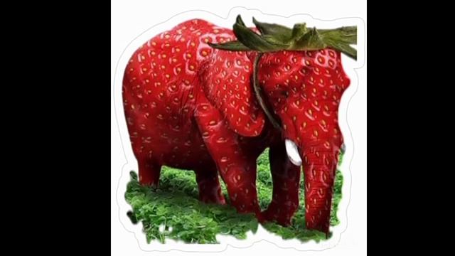 стробери Элефант