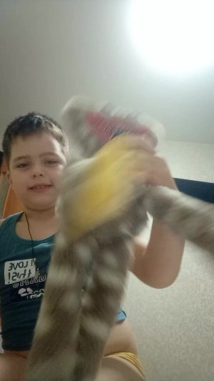 играю в игрушки