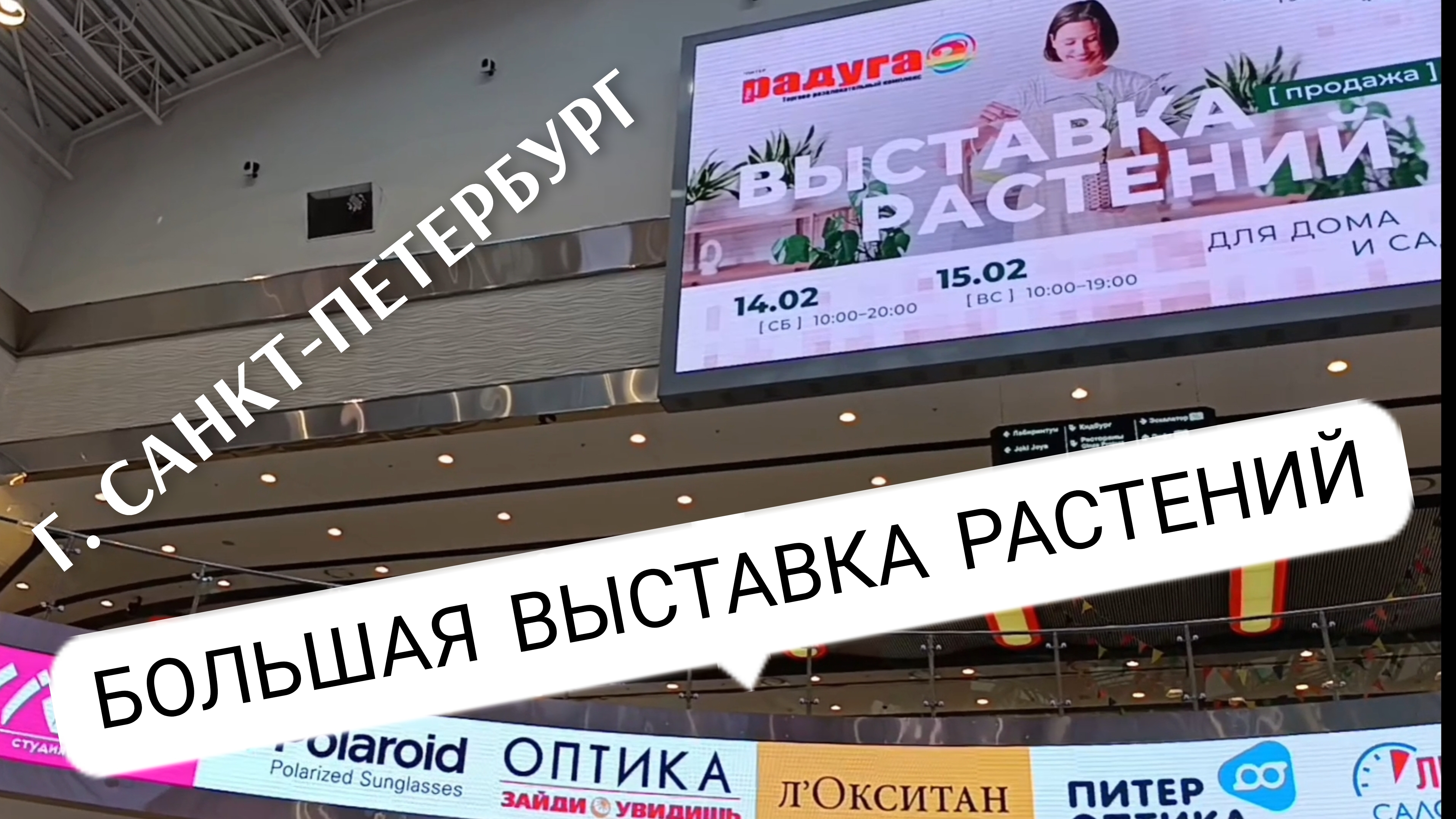 У Лукоморья. ТРК Радуга. СПБ. смотреть онлайн