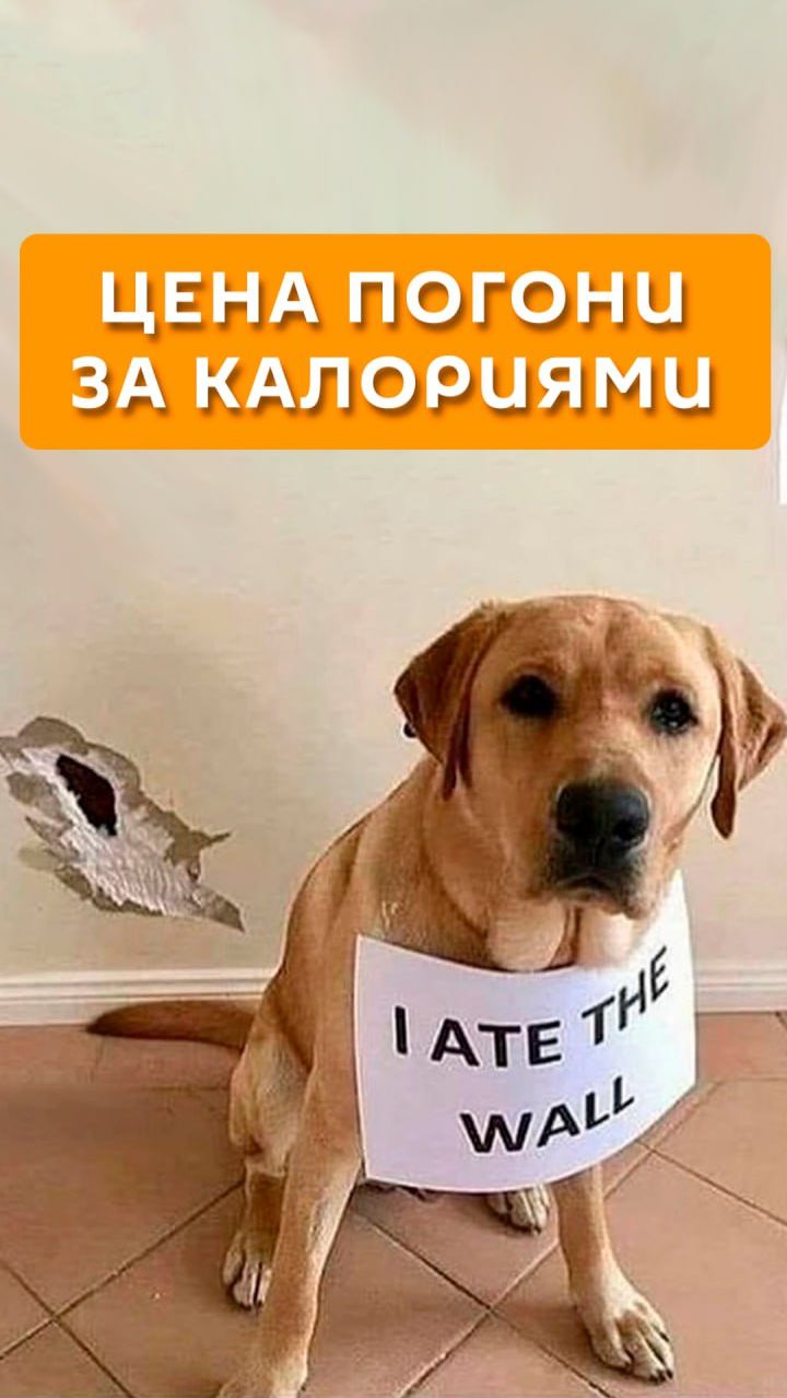 Цена погони за калориями