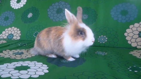 ПЕРВЫЙ ГОД МАЛЫША 😱 КАК ЭТО БЫЛО?