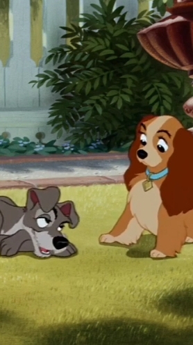 Первая встреча Леди и Бродяги