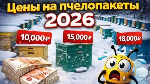 Цены на пчелопакеты в 2026 году
