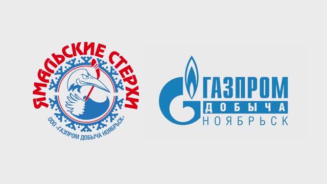 Визитка команды «ЯМАЛЬСКИЕ СТЕРХИ»︱ООО «Газпром добыча Ноябрьск»
