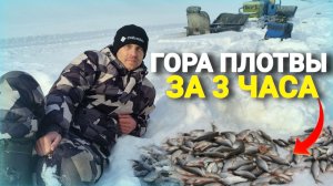 Плотва клевала на всё. Отличная рыбалка в мороз на реке.