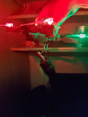 фпв с братиком