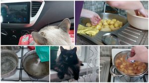 ПОГОСТИЛИ И ХВАТИТ ● ГОТОВЛЮ ОБЕД И УЖИН ● ОТМЫВАЮ НАКИПЬ С ФОРМ ● ПРОСТЫЕ БУДНИ