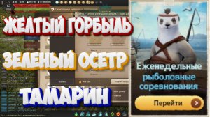 БДО. Жёлтый горбыль. Зелёный осётр. Тамарин. Рыболовные соревнования 16-21.02.2026