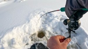РАЗДАЧА СУДАКА ЕЩЁ И ПОД БЕРЕГОМ. С ТАКИМ КЛЁВОМ И ВОЛГА НЕ НАДО. Рыбалка зимой в 2026