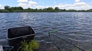Рыбалка на карася в поисках новых дикарей с донкой