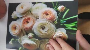 Отзыв: Печатный Рай — Открытки на заказ | Печать и отправка по России