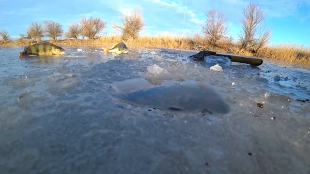 РЫБАЛКА ПО ПЕРВОМУ ЛЬДУ. ПЕРВЫЙ ЛЁД! ЗИМНЯЯ РЫБАЛКА 2025 - 2026. Пришла зима! смотреть онлайн