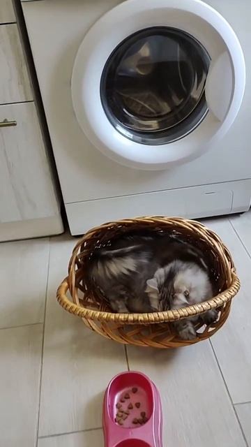 Атаксия. Как с ней жить?