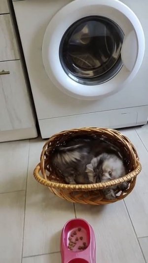 Атаксия. Как с ней жить?