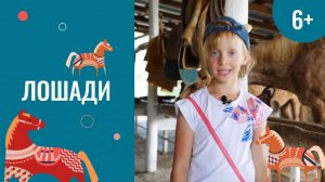 Лошади. Чудеса каждый день. 6 серия (6+)