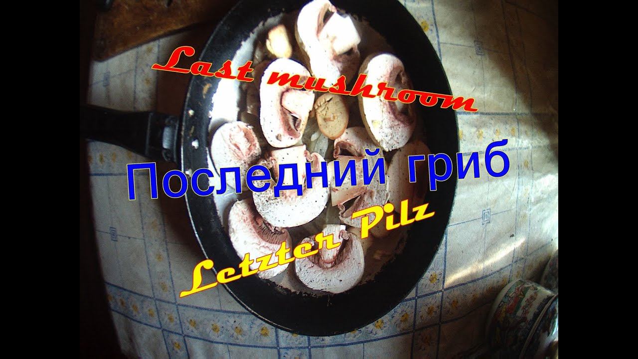 Последний гриб сезона 2020.