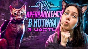 STRAY: ПРЕВРАЩАЕМСЯ В КОТИКА 😸3 Часть!