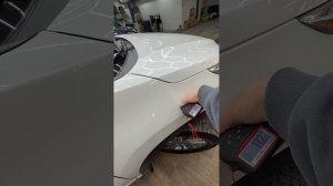 Highlander белый