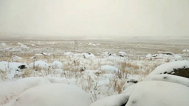 Аркаим. Зимние достопримечательности Южного Урала (2024)